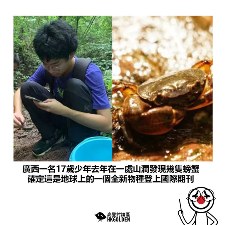 【廣西一名17歲少年去年在一處山澗發現幾隻螃蟹 確定這是地球上的一個全新物種登上國際期刊】