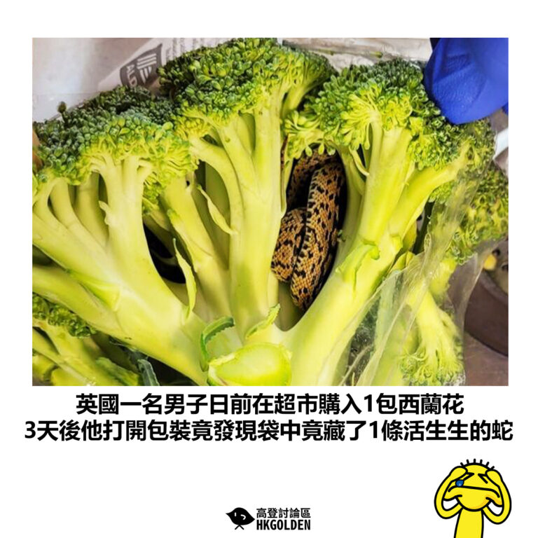 【英國一名男子日前在超市購入1包西蘭花 3天後他打開包裝竟發現袋中竟藏了1條活生生的蛇】