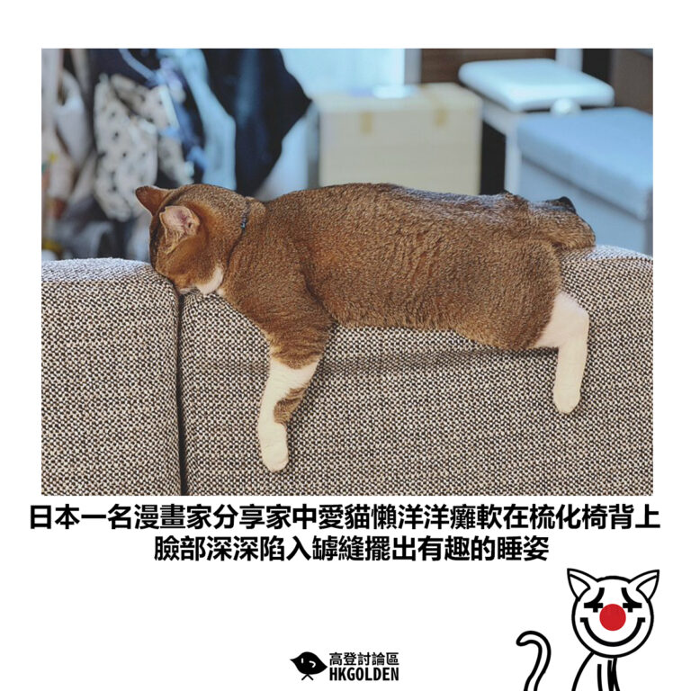 【日本一名漫畫家分享家中愛貓懶洋洋癱軟在梳化椅背上 臉部深深陷入罅縫擺出有趣的睡姿】
