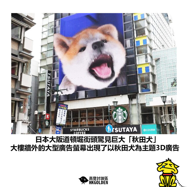 【日本大阪道頓堀街頭驚見巨大「秋田犬」 大樓牆外的大型廣告螢幕出現了以秋田犬為主題3D廣告】
