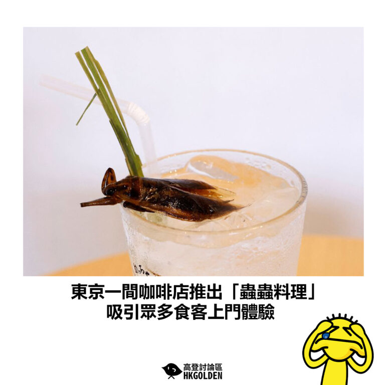 【東京一間咖啡店推出「蟲蟲料理」 吸引眾多食客上門體驗】