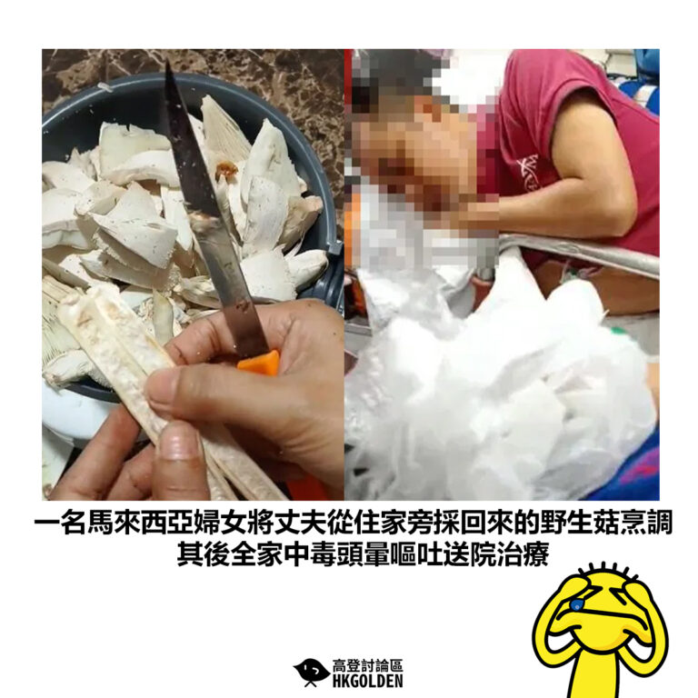 【一名馬來西亞婦女將丈夫從住家旁採回來的野生菇烹調 其後全家中毒頭暈嘔吐送院治療】