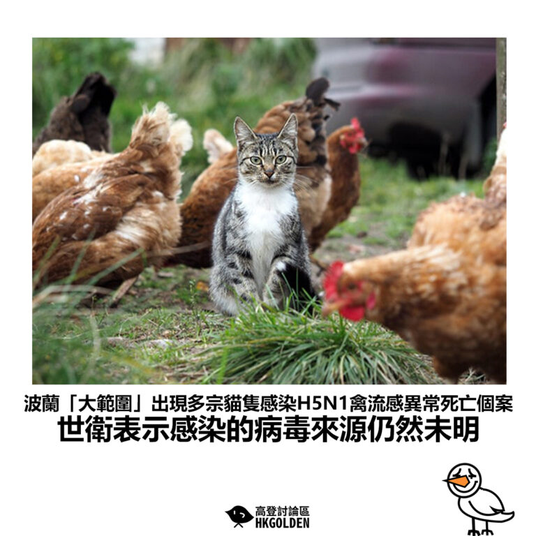 【波蘭「大範圍」出現多宗貓隻感染H5N1禽流感異常死亡個案 世衛表示感染的病毒來源仍然未明】