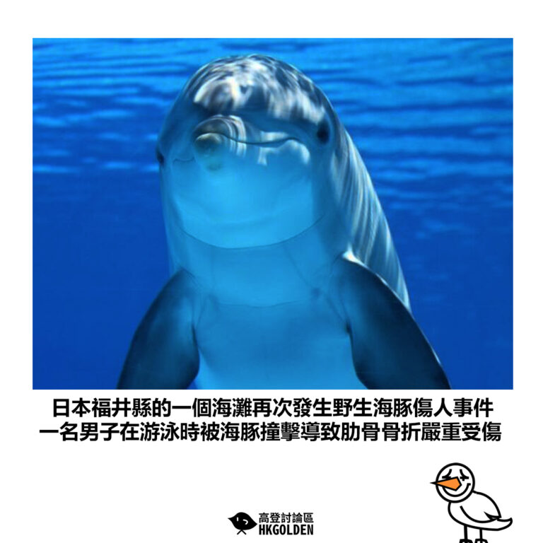 【日本福井縣的一個海灘再次發生野生海豚傷人事件 一名男子在游泳時被海豚撞擊導致肋骨骨折嚴重受傷】