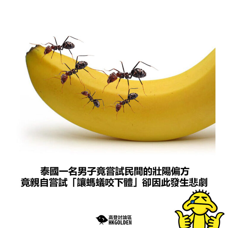 【泰國一名男子竟嘗試民間的壯陽偏方 竟親自嘗試「讓螞蟻咬下體」卻因此發生悲劇】