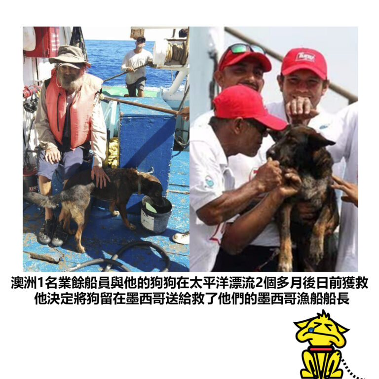 【澳洲1名業餘船員與他的狗狗在太平洋漂流2個多月後日前獲救 他決定將狗留在墨西哥送給救了他們的墨西哥漁船船長】