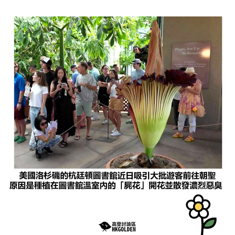 【美國洛杉磯的杭廷頓圖書館近日吸引大批遊客前往朝聖 原因是種植在圖書館溫室內的「屍花」開花並散發濃烈惡臭】
