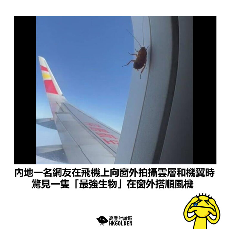 【內地一名網友在飛機上向窗外拍攝雲層和機翼時 驚見一隻「最強生物」在窗外搭順風機】