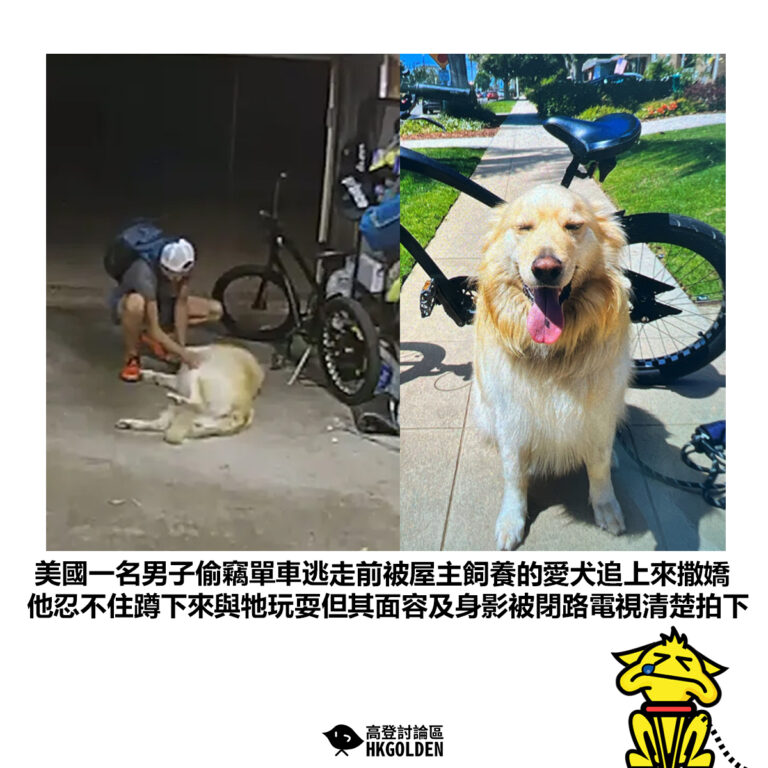 【美國一名男子偷竊單車逃走前被屋主飼養的愛犬追上來撒嬌 他忍不住蹲下來與牠玩耍但其面容及身影被閉路電視清楚拍下】