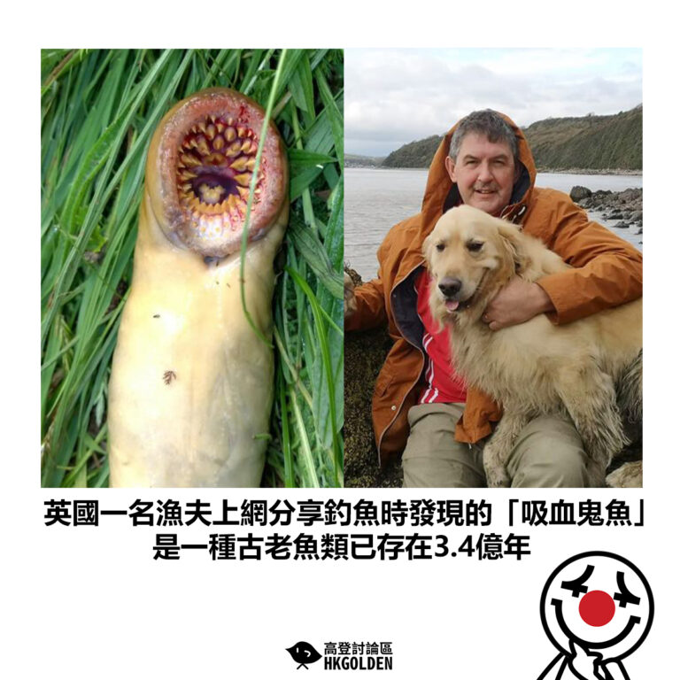 【英國一名漁夫上網分享釣魚時發現的「吸血鬼魚」是一種古老魚類已存在3.4億年】