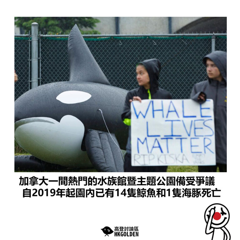 【加拿大一間熱門的水族館暨主題公園備受爭議 自2019年起園內已有14隻鯨魚和1隻海豚死亡】