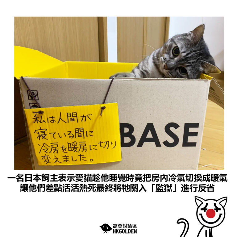 【一名日本飼主表示愛貓趁他睡覺時竟把房內冷氣切換成暖氣 讓他們差點活活熱死最終將牠關入「監獄」進行反省】