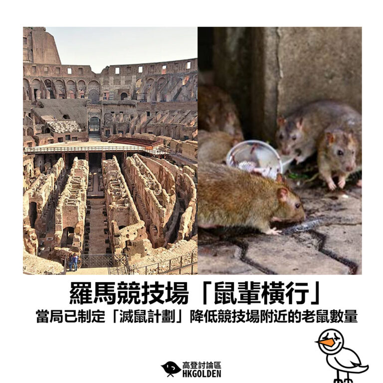 【羅馬競技場「鼠輩橫行」 當局已制定「滅鼠計劃」降低競技場附近的老鼠數量】