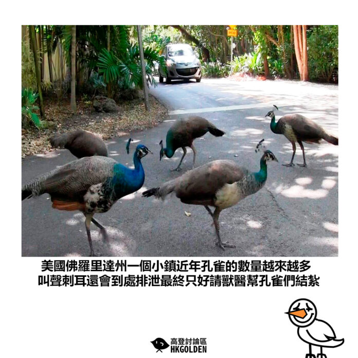 edhgsdgas