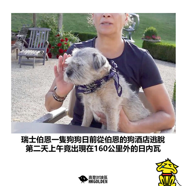 【瑞士伯恩一隻狗狗日前從伯恩的狗酒店逃脫 第二天上午竟出現在160公里外的日內瓦】