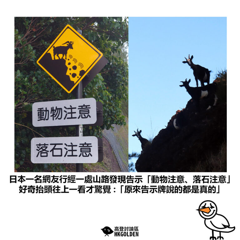 【日本一名網友行經一處山路發現告示「動物注意、落石注意」好奇抬頭往上一看才驚覺 :「原來告示牌說的都是真的」】