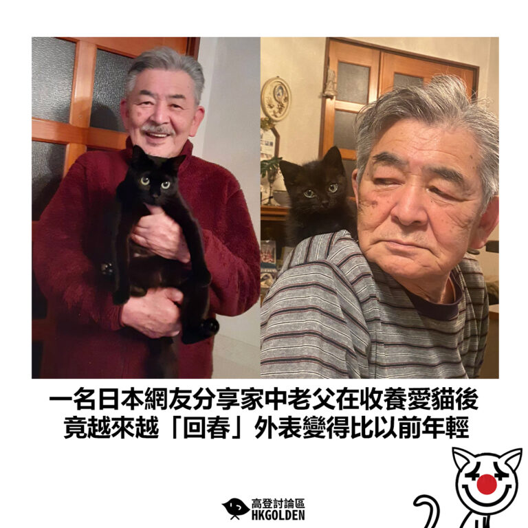 【一名日本網友分享家中老父在收養愛貓後  竟越來越「回春」外表變得比以前年輕】