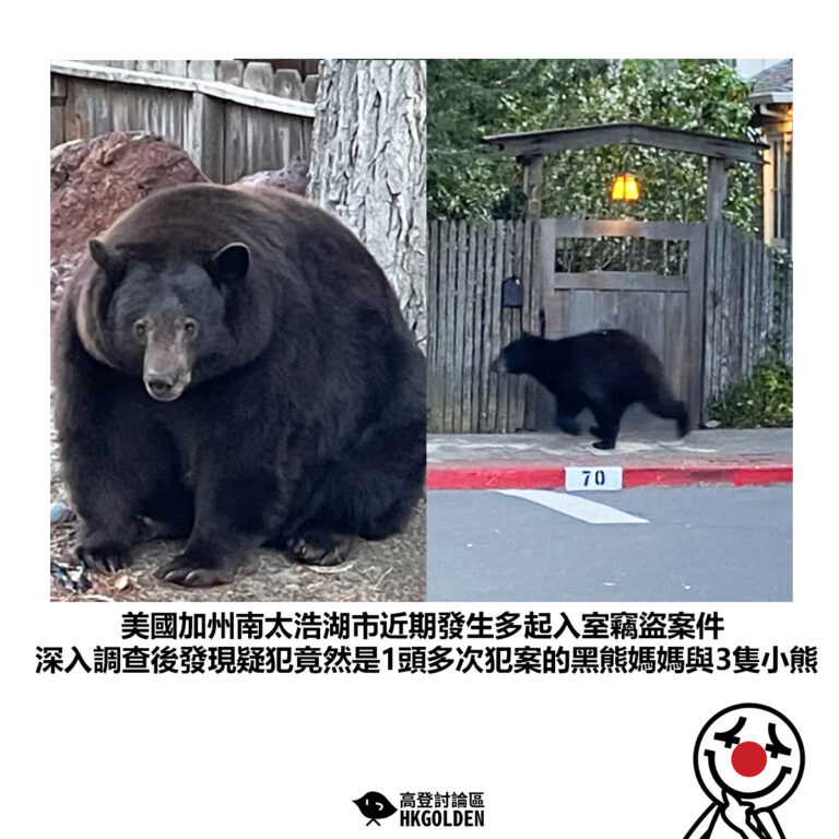 【美國加州南太浩湖市近期發生多起入室竊盜案件 深入調查後發現疑犯竟然是1頭多次犯案的黑熊媽媽與3隻小熊】