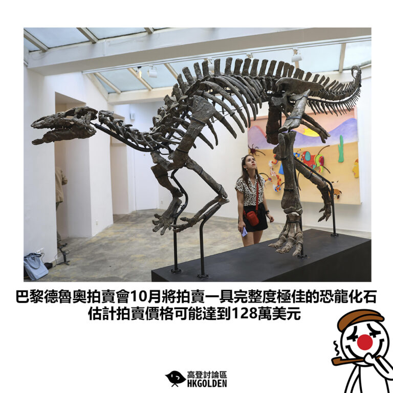 【巴黎德魯奧拍賣會10月將拍賣一具完整度極佳的恐龍化石 估計拍賣價格可能達到128萬美元】