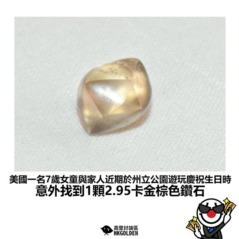 【美國一名7歲女童與家人近期於州立公園遊玩慶祝生日時 意外找到1顆2.95卡金棕色鑽石】