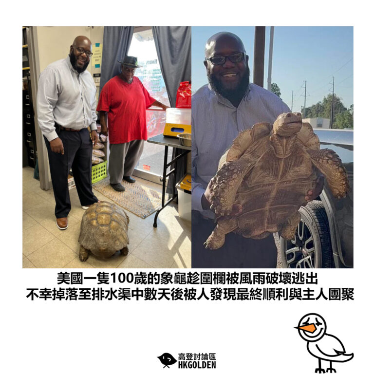 【美國一隻100歲的象龜趁圍欄被風雨破壞逃出 不幸掉落至排水渠中數天後被人發現最終順利與主人團聚 】