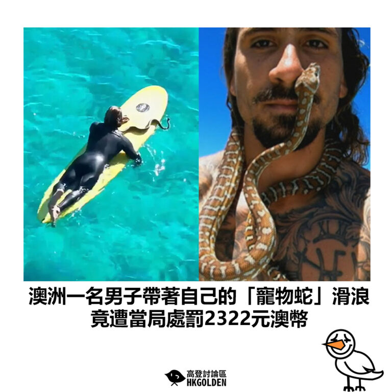 【澳洲一名男子帶著自己的「寵物蛇」滑浪 竟遭當局處罰2322元澳幣】