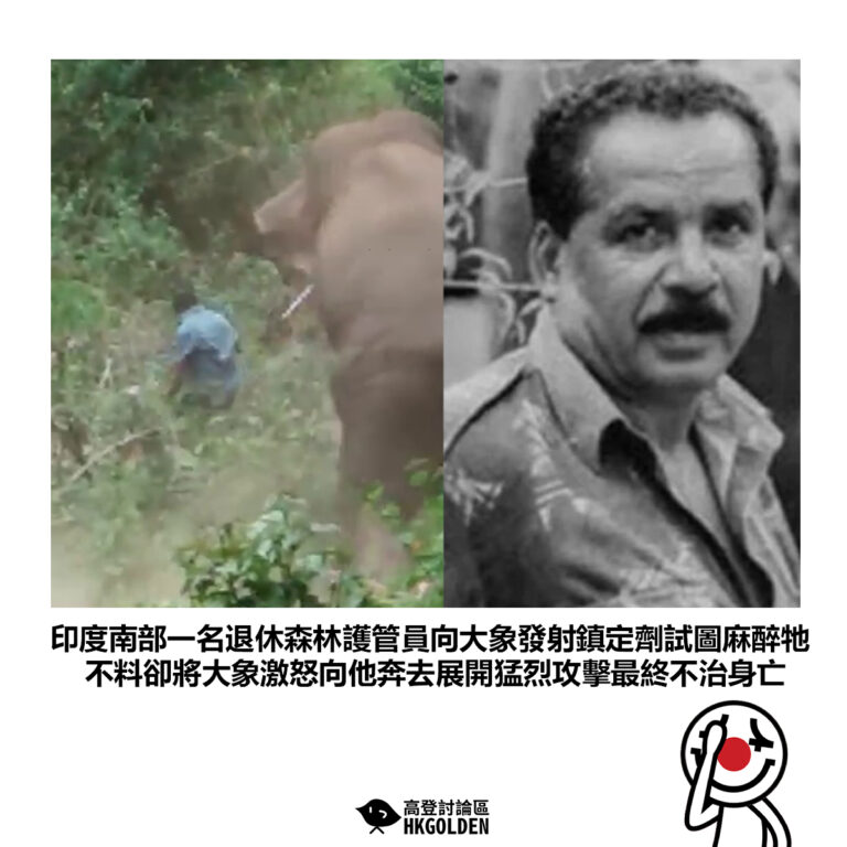 【印度南部一名退休森林護管員向大象發射鎮定劑試圖麻醉牠 不料卻將大象激怒向他奔去展開猛烈攻擊最終不治身亡】