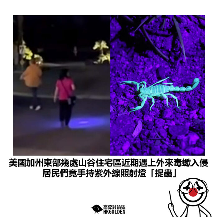 dshgsdh