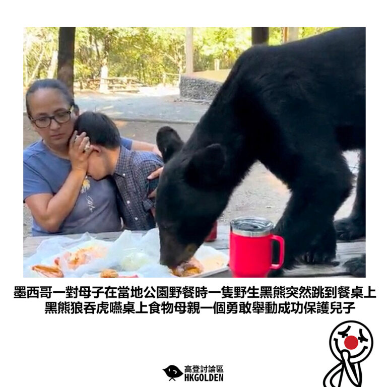 【墨西哥一對母子在當地公園野餐時一隻野生黑熊突然跳到餐桌上黑熊狼吞虎嚥桌上食物母親一個勇敢舉動成功保護兒子】