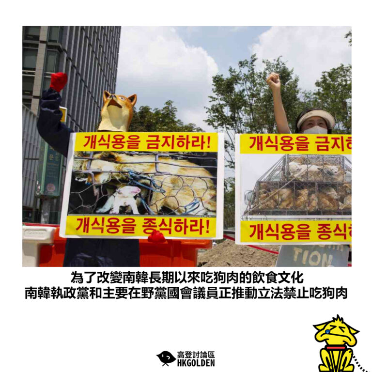 【為了改變南韓長期以來吃狗肉的飲食文化 南韓執政黨和主要在野黨國會議員正推動立法禁止吃狗肉】