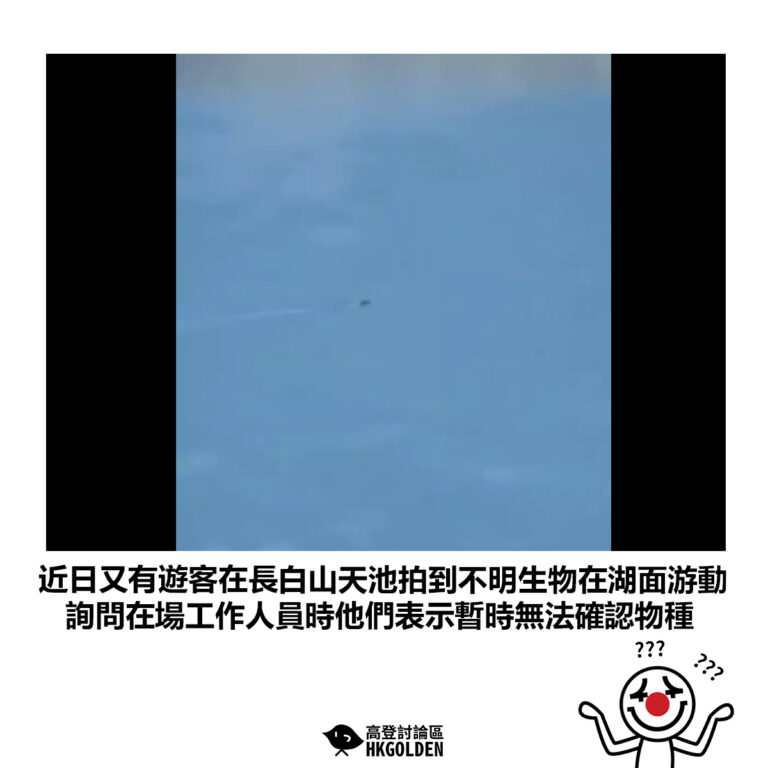 【近日又有遊客在長白山天池拍到不明生物在湖面游動 詢問在場工作人員時他們表示暫時無法確認物種】