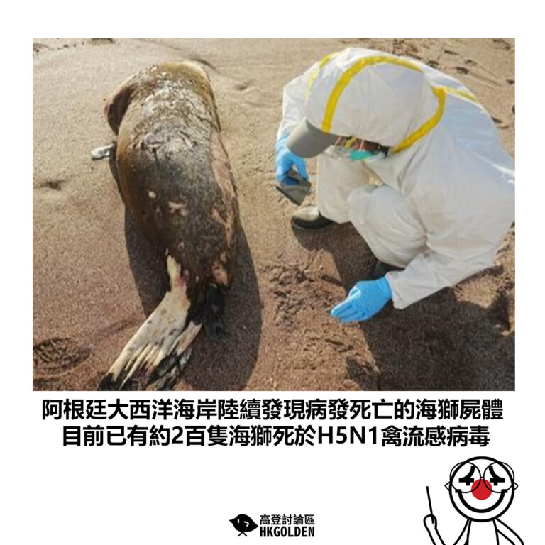 【阿根廷大西洋海岸陸續發現病發死亡的海獅屍體 目前已有約2百隻海獅死於H5N1禽流感病毒】
