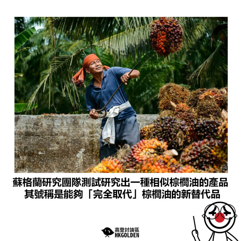 【蘇格蘭研究團隊測試研究出一種相似棕櫚油的產品 其號稱是能夠「完全取代」棕櫚油的新替代品】