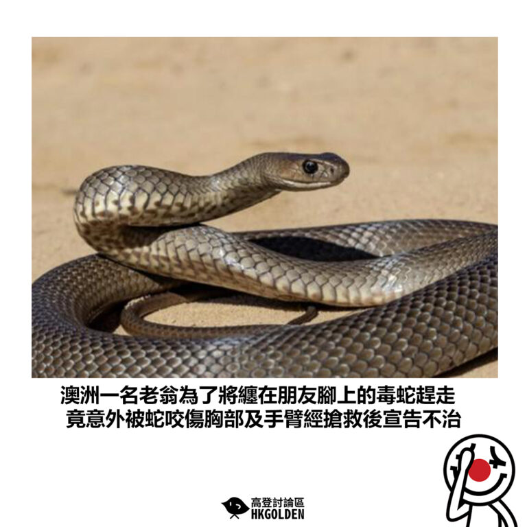 【澳洲一名老翁為了將纏在朋友腳上的毒蛇趕走 竟意外被蛇咬傷胸部及手臂經搶救後宣告不治】