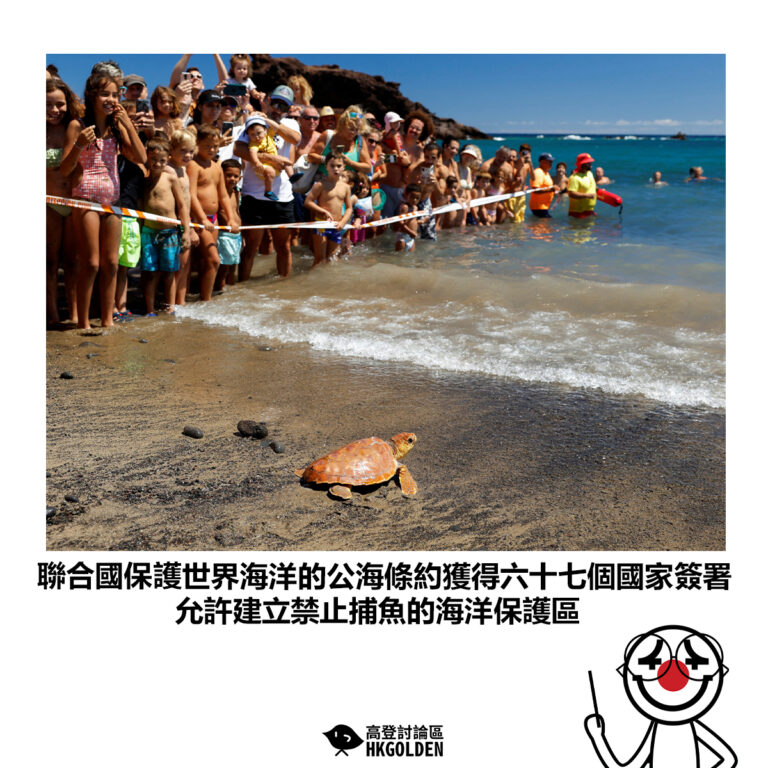 【聯合國保護世界海洋的公海條約獲得六十七個國家簽署 允許建立禁止捕魚的海洋保護區 】