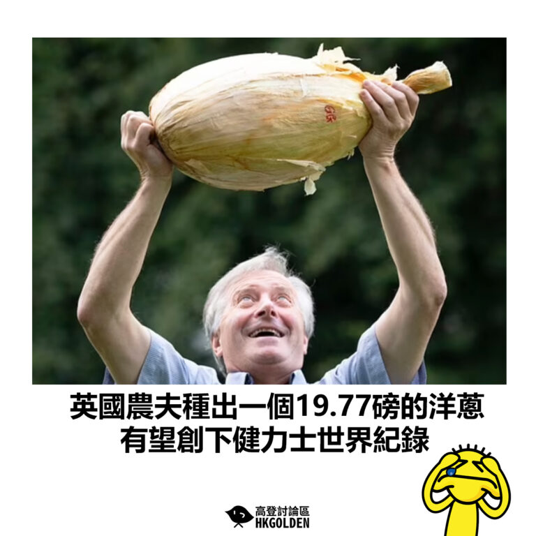 【英國農夫種出一個19.77磅的洋蔥 有望創下健力士世界紀錄】