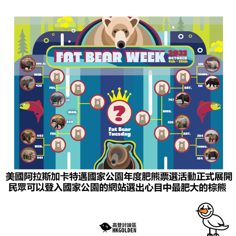 【美國阿拉斯加卡特邁國家公園年度肥熊票選活動正式展開 民眾可以登入國家公園的網站選出心目中最肥大的棕熊】