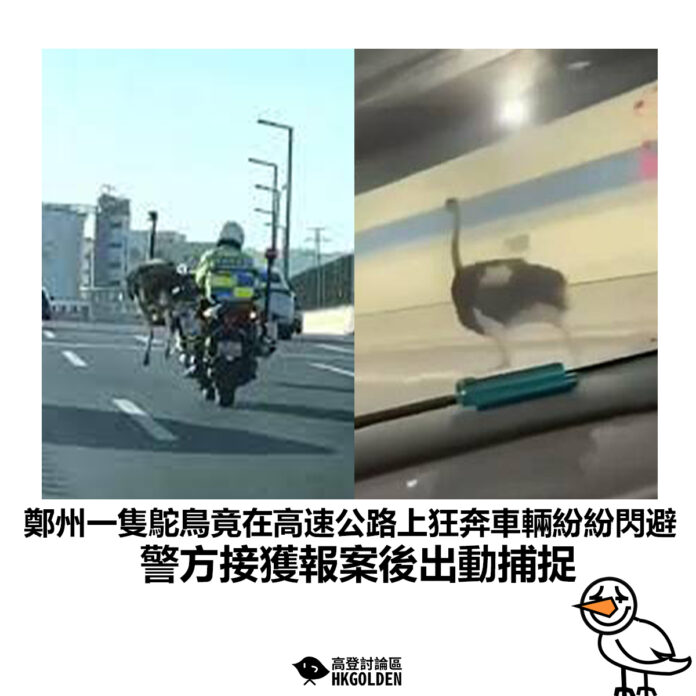 hrhsdh