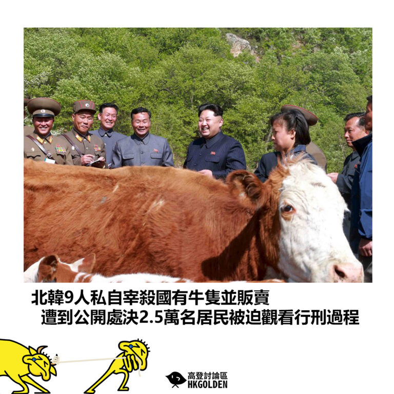 【北韓9人私自宰殺國有牛隻並販賣  遭到公開處決2.5萬名居民被迫觀看行刑過程】