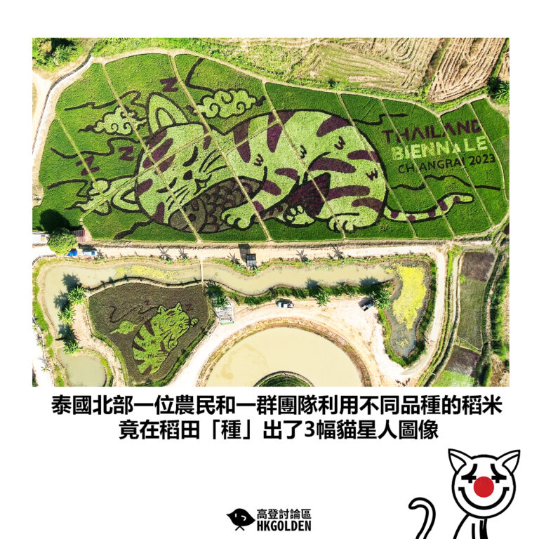 【泰國北部一位農民和一群團隊利用不同品種的稻米  竟在稻田「種」出了3幅貓星人圖像】