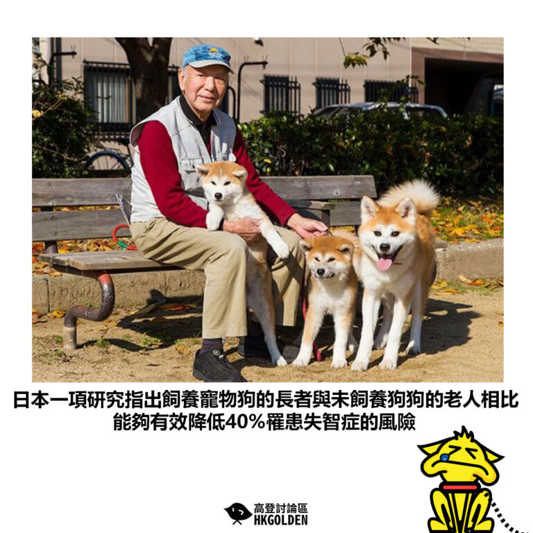 【日本一項研究指出飼養寵物狗的長者與未飼養狗狗的老人相比 能夠有效降低40%罹患失智症的風險】