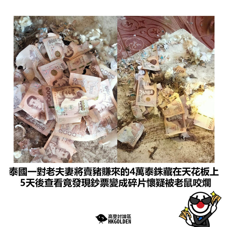 【泰國一對老夫妻將賣豬賺來的4萬泰銖藏在天花板上 5天後查看竟發現鈔票變成碎片懷疑被老鼠咬爛】