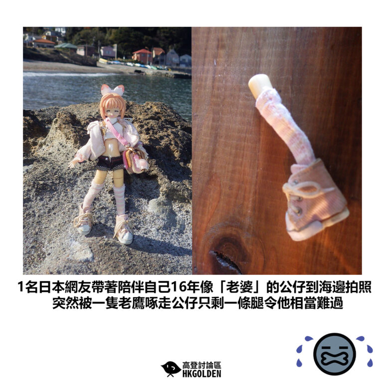 【1名日本網友帶著陪伴自己16年像「老婆」的公仔到海邊拍照 突然被一隻老鷹啄走公仔只剩一條腿令他相當難過】