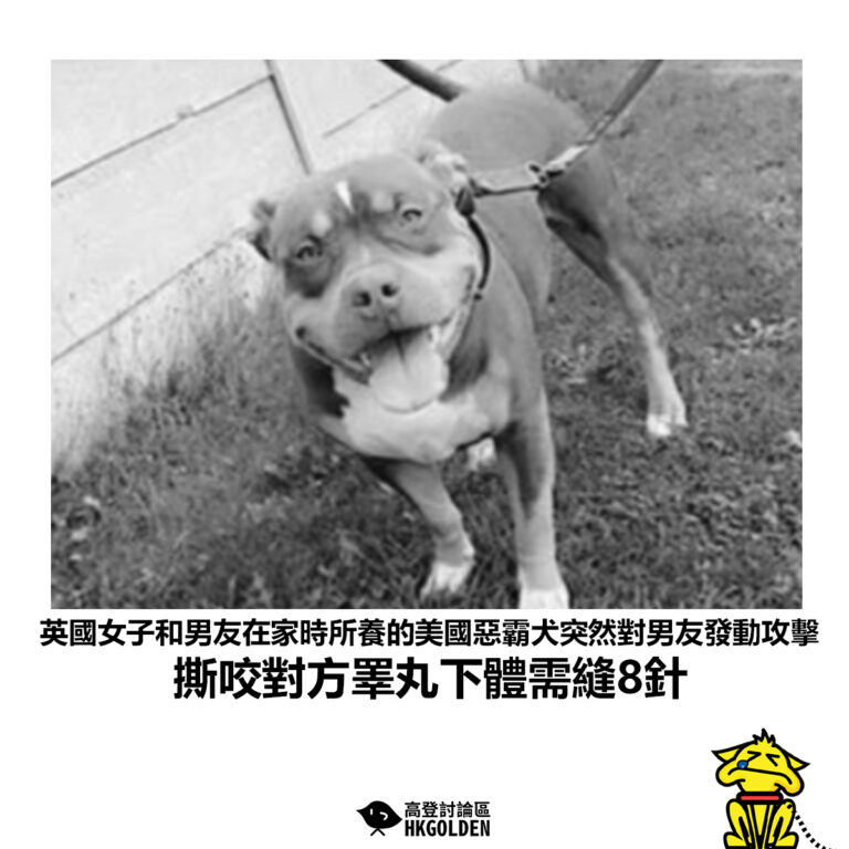 【英國女子和男友在家時所養的美國惡霸犬突然對男友發動攻擊 撕咬對方睪丸下體需縫8針】