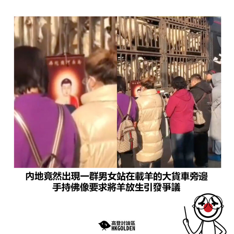 【內地竟然出現一群男女站在載羊的大貨車旁邊 手持佛像要求將羊放生引發爭議】