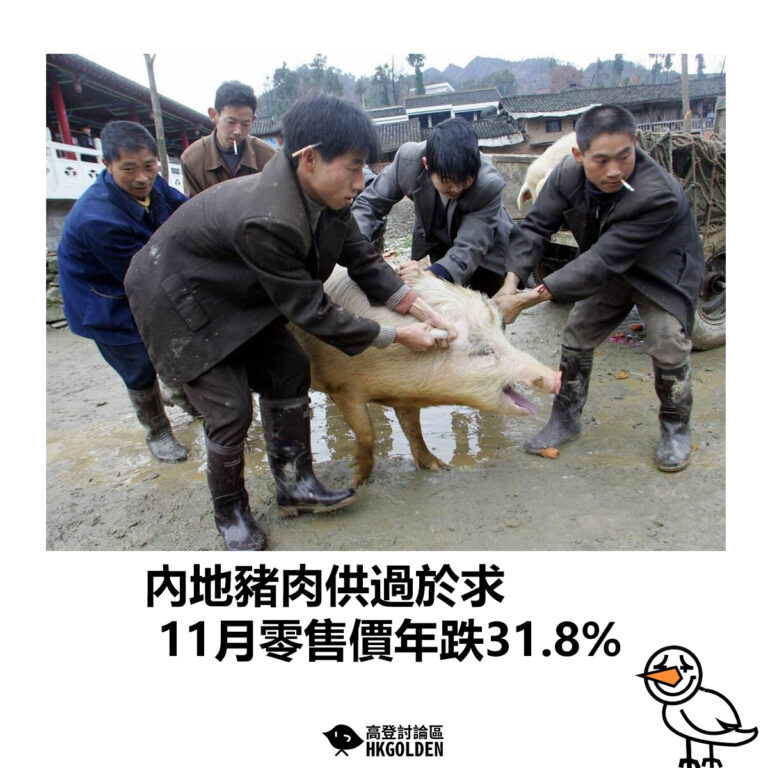 【內地豬肉供過於求  11月零售價年跌31.8%】