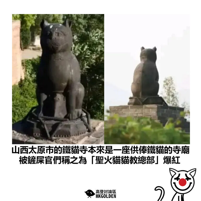 【山西太原市的鐵貓寺本來是一座供俸鐵貓的寺廟 被鏟屎官們稱之為「聖火貓貓教總部」爆紅】