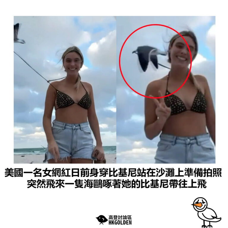 【美國一名女網紅日前身穿比基尼站在沙灘上準備拍照 突然飛來一隻海鷗啄著她的比基尼帶往上飛】
