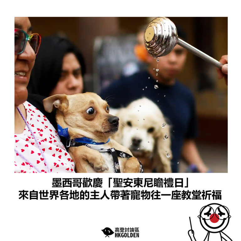 【墨西哥歡慶「聖安東尼瞻禮日」 來自世界各地的主人帶著寵物往一座教堂祈福】
