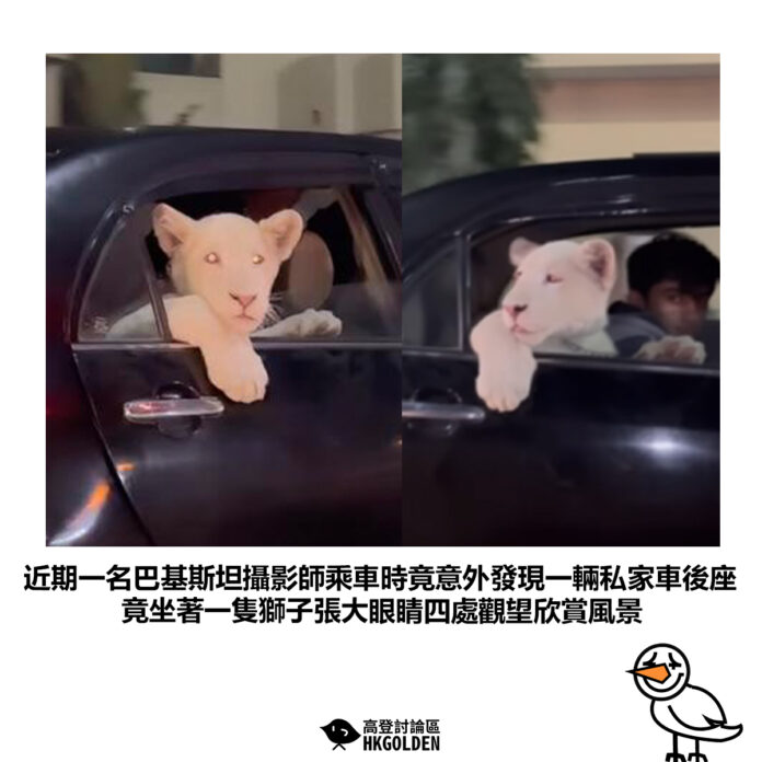 dshsdgsdg